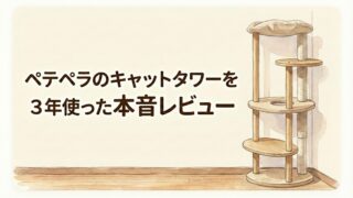 ペテペラのキャットタワーを3年使った本音レビュー。組み立て10分・掃除しやすさが最高でした