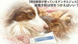 歯磨き粉は何をつかえばいい？【現役獣医が使っているデンタルジェル】