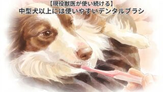 【現役獣医が使い続ける】中型犬以上にはこれが使いやすいデンタルブラシ