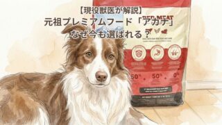 元祖プレミアムフード「アカナ」なぜ今も選ばれる？現役獣医がクラシック3種を本音比較
