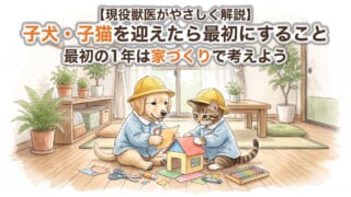 【現役獣医がやさしく解説】子犬・子猫を迎えたら最初にすること。最初の1年は「家づくり」で考えよう