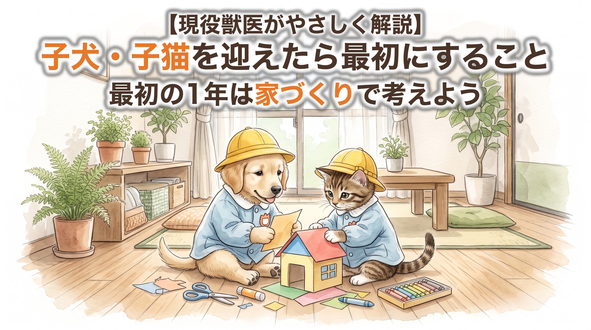 【現役獣医がやさしく解説】子犬・子猫を迎えたら最初にすること。最初の1年は「家づくり」で考えよう